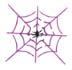spiderweb2_ws.jpg